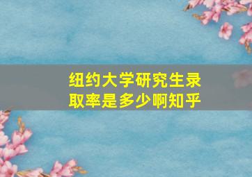 纽约大学研究生录取率是多少啊知乎