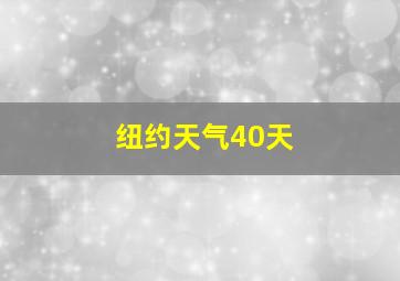 纽约天气40天