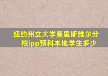 纽约州立大学莫里斯维尔分校ipp预科本地学生多少