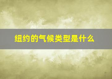 纽约的气候类型是什么