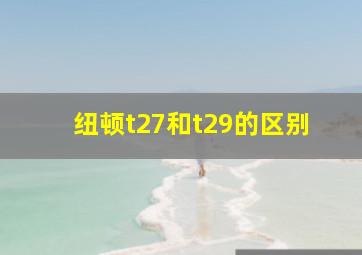 纽顿t27和t29的区别