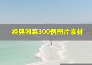 经典湘菜300例图片素材