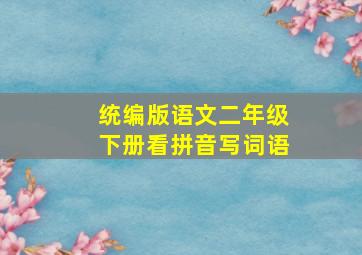 统编版语文二年级下册看拼音写词语