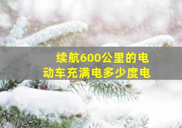 续航600公里的电动车充满电多少度电