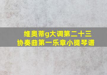 维奥蒂g大调第二十三协奏曲第一乐章小提琴谱