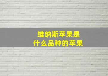 维纳斯苹果是什么品种的苹果