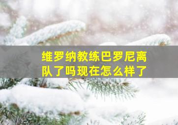 维罗纳教练巴罗尼离队了吗现在怎么样了