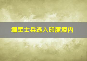 缅军士兵逃入印度境内