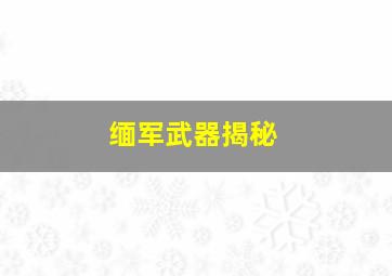 缅军武器揭秘