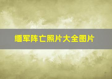 缅军阵亡照片大全图片