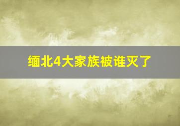 缅北4大家族被谁灭了