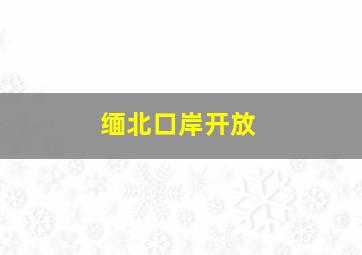 缅北口岸开放