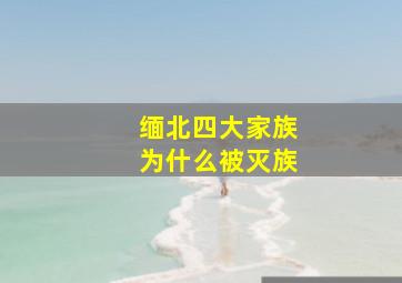 缅北四大家族为什么被灭族