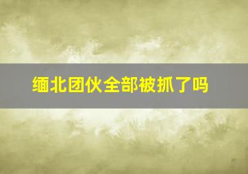 缅北团伙全部被抓了吗