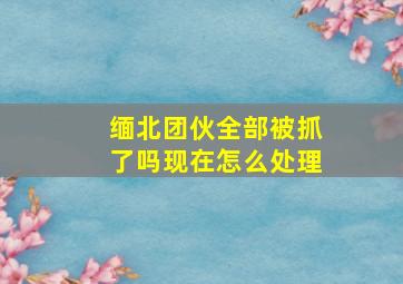 缅北团伙全部被抓了吗现在怎么处理