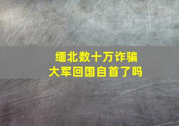 缅北数十万诈骗大军回国自首了吗