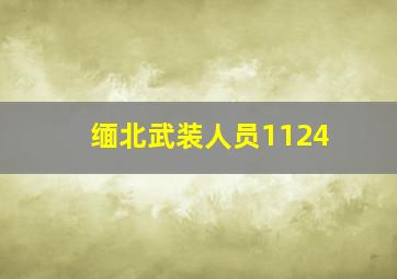 缅北武装人员1124