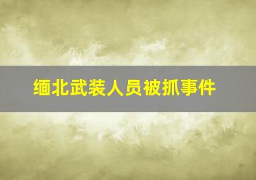 缅北武装人员被抓事件