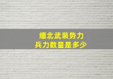 缅北武装势力兵力数量是多少