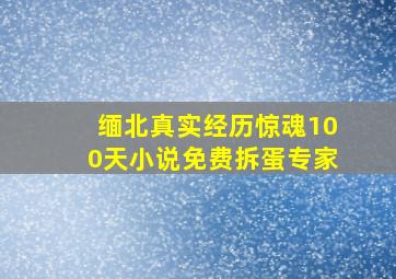 缅北真实经历惊魂100天小说免费拆蛋专家