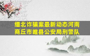 缅北诈骗案最新动态河南商丘市睢县公安局刑警队