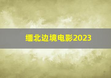 缅北边境电影2023