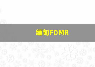 缅甸FDMR