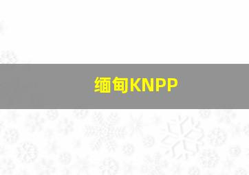 缅甸KNPP