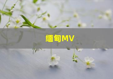 缅甸MV