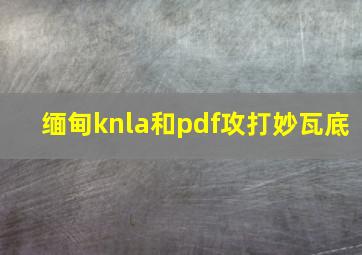 缅甸knla和pdf攻打妙瓦底