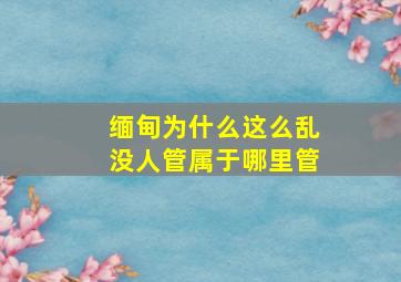 缅甸为什么这么乱没人管属于哪里管