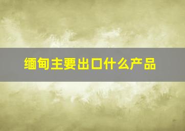 缅甸主要出口什么产品