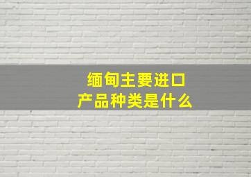 缅甸主要进口产品种类是什么