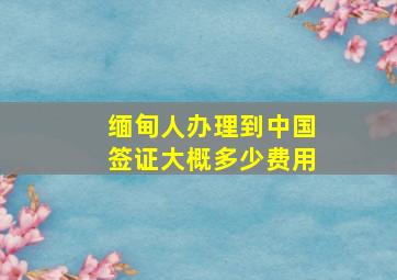 缅甸人办理到中国签证大概多少费用