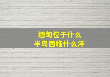 缅甸位于什么半岛西临什么洋