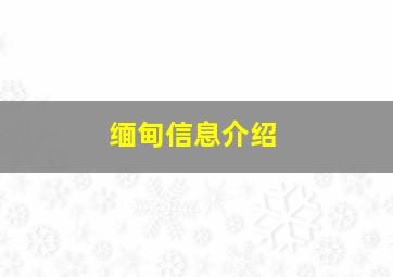 缅甸信息介绍