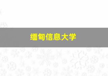 缅甸信息大学