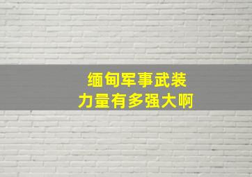 缅甸军事武装力量有多强大啊