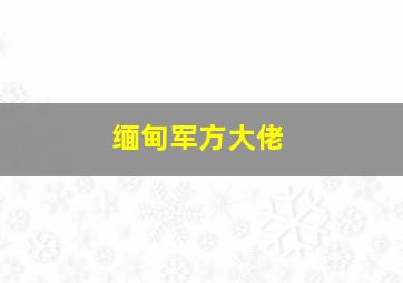 缅甸军方大佬