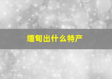 缅甸出什么特产