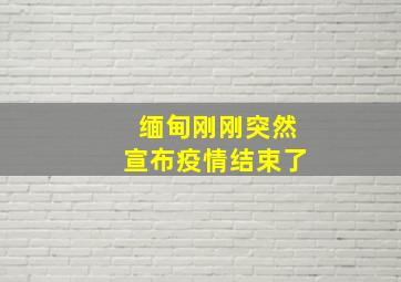 缅甸刚刚突然宣布疫情结束了