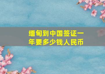 缅甸到中国签证一年要多少钱人民币