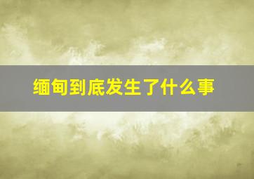 缅甸到底发生了什么事