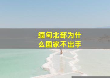 缅甸北部为什么国家不出手