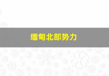 缅甸北部势力