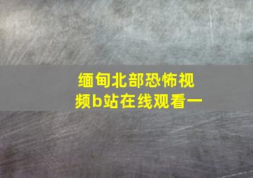 缅甸北部恐怖视频b站在线观看一