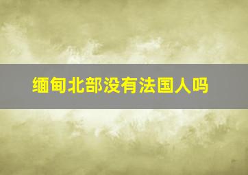 缅甸北部没有法国人吗