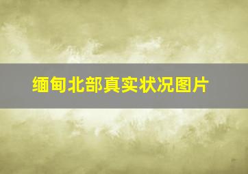 缅甸北部真实状况图片