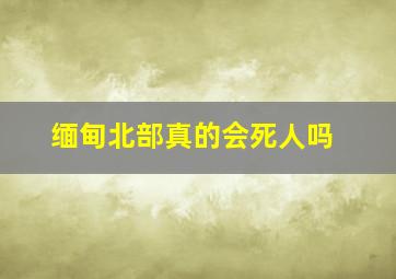 缅甸北部真的会死人吗