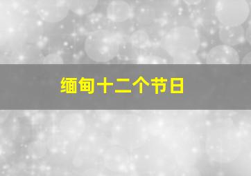 缅甸十二个节日